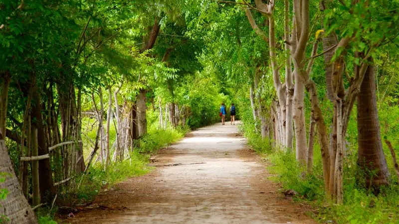 Du ngoạn đảo Gili Trawangan xinh đẹp c&ugrave;ng nhịp sống b&igrave;nh dị 10