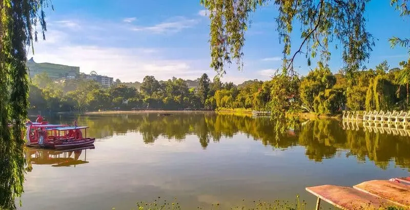 Kh&aacute;m ph&aacute; Baguio, nơi cảnh sắc đậm chất thi&ecirc;n nhi&ecirc;n tại Philippines 8