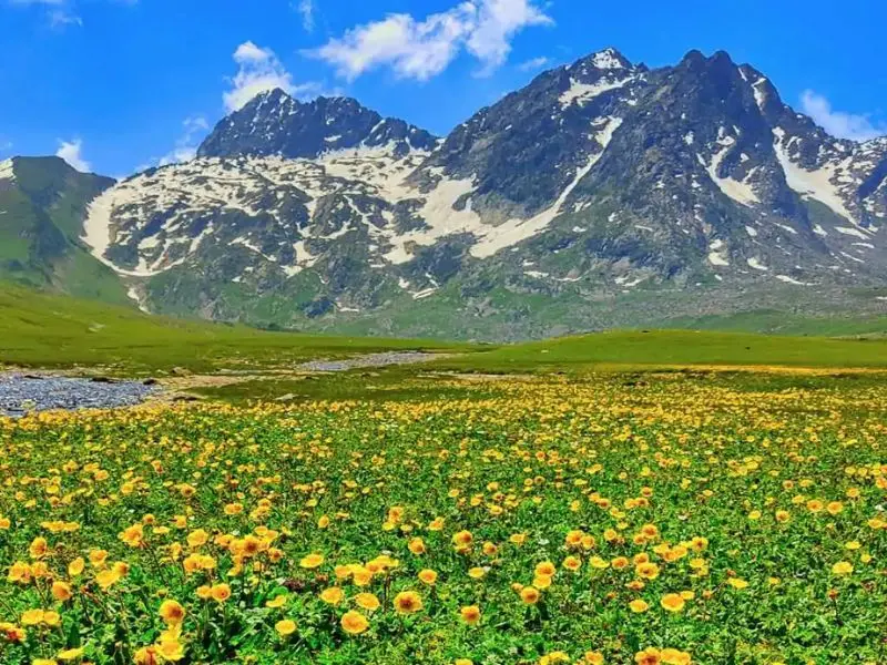 Kh&aacute;m ph&aacute; đồng cỏ v&agrave;ng Sonamarg thi&ecirc;n đường nơi hạ giới Ấn Độ 2