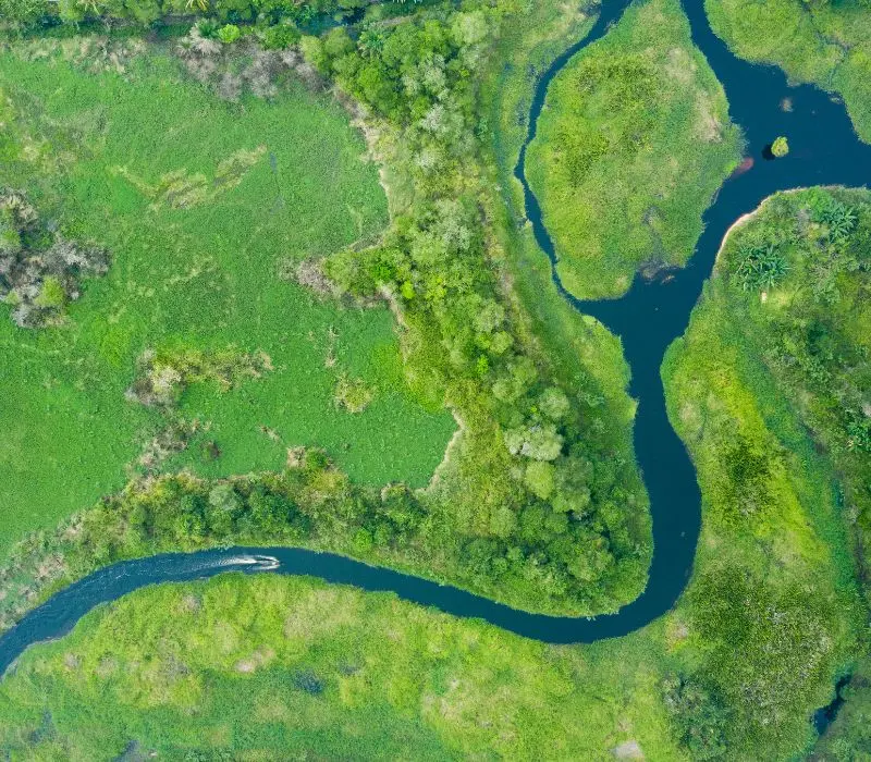 Kh&aacute;m ph&aacute; Kalimantan, v&ugrave;ng đất b&iacute; ẩn v&agrave; hoang d&atilde; của Indonesia 3