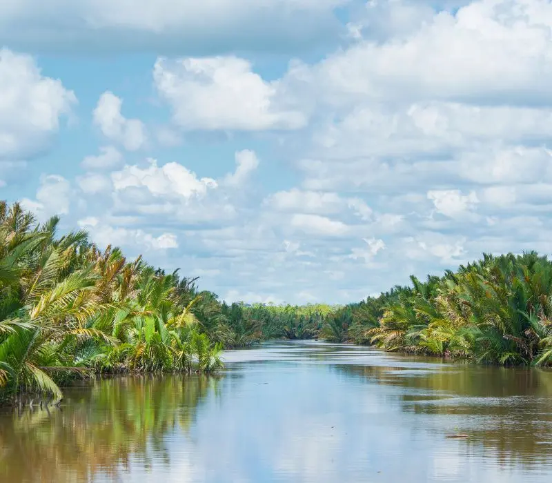 Kh&aacute;m ph&aacute; Kalimantan, v&ugrave;ng đất b&iacute; ẩn v&agrave; hoang d&atilde; của Indonesia 9