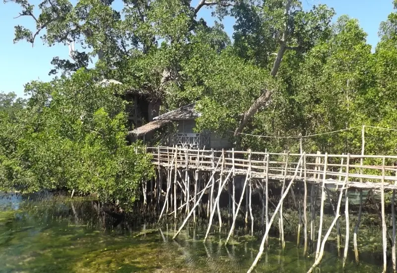 Kh&aacute;m ph&aacute; Siquijor: h&ograve;n đảo thi&ecirc;n đường của Philippines 9