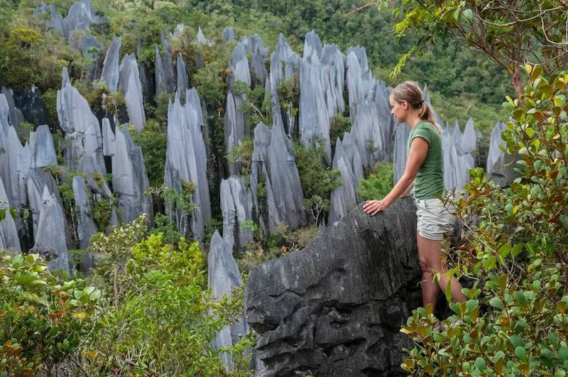 Kh&aacute;m ph&aacute; vi&ecirc;n ngọc qu&yacute; Gunung Mulu được UNESCO vinh danh 3
