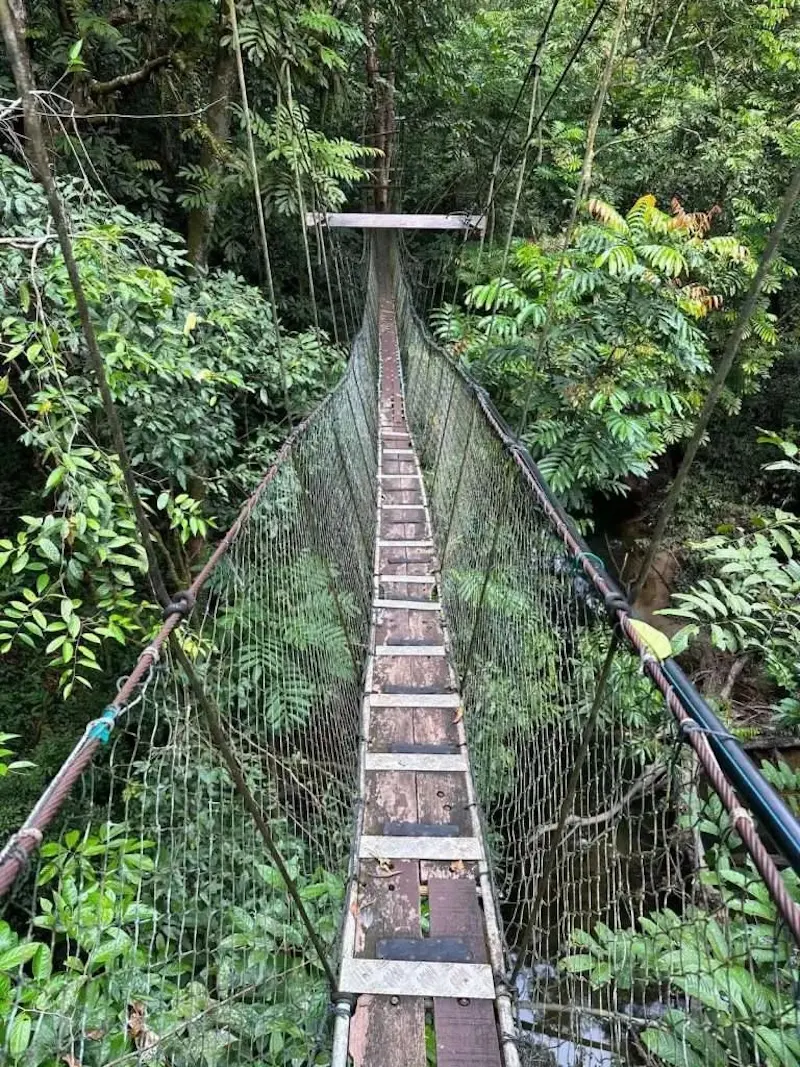 Kh&aacute;m ph&aacute; vi&ecirc;n ngọc qu&yacute; Gunung Mulu được UNESCO vinh danh 7