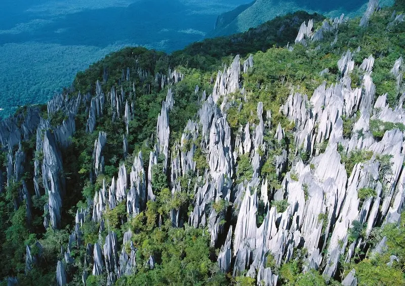 Kh&aacute;m ph&aacute; vi&ecirc;n ngọc qu&yacute; Gunung Mulu được UNESCO vinh danh 2