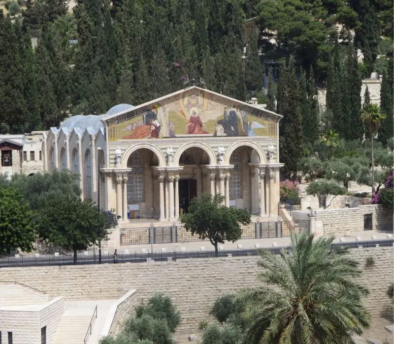 Kh&aacute;m ph&aacute; Vườn C&acirc;y Dầu (Gethsemane): H&agrave;nh tr&igrave;nh t&igrave;m về Th&aacute;nh địa Jerusalem 5
