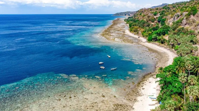 Kinh nghiệm du lịch Đ&ocirc;ng Timor từ A tới Z d&agrave;nh cho bạn 8