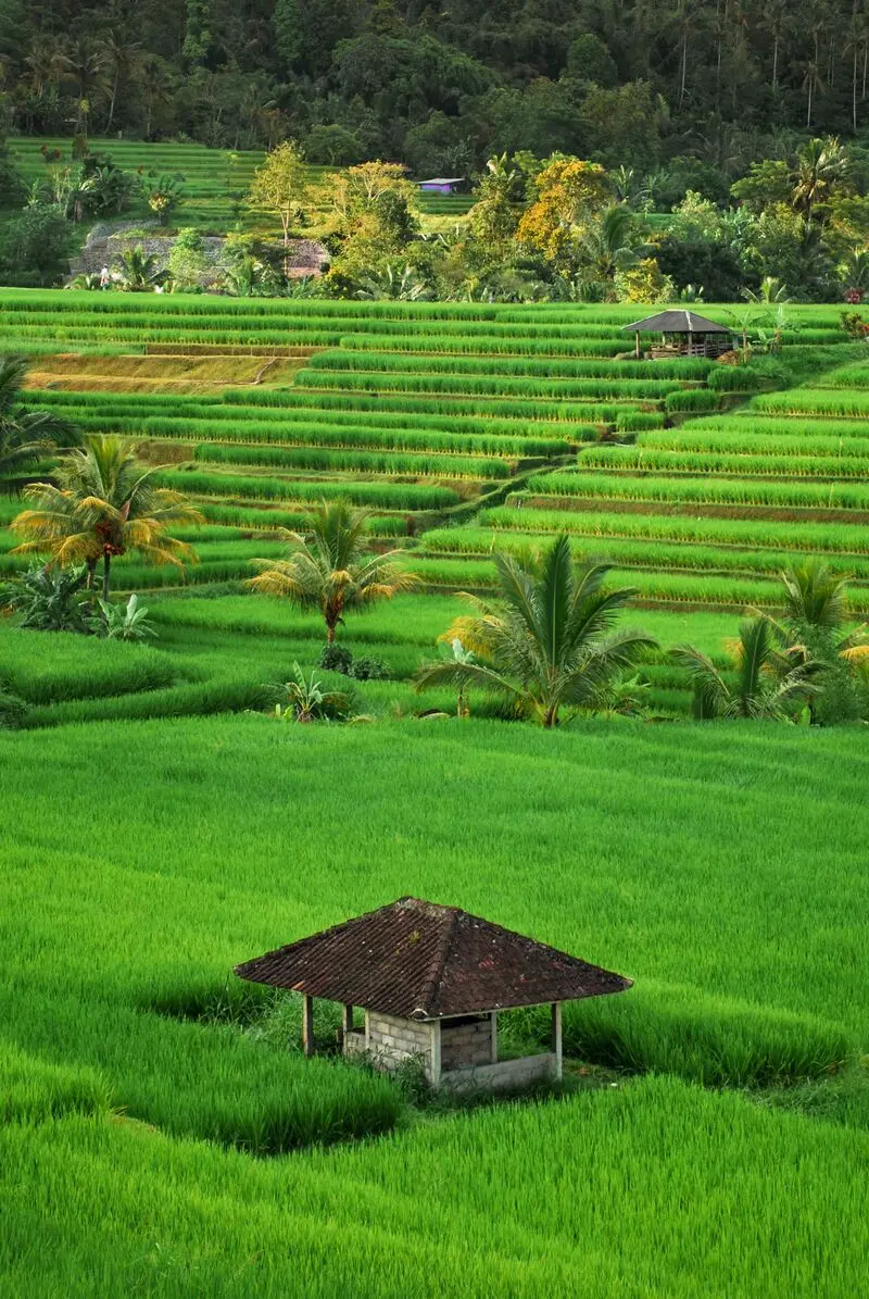 Kinh nghiệm du lịch Indonesia tự t&uacute;c từ A-Z, chinh phục xứ sở vạn đảo 4