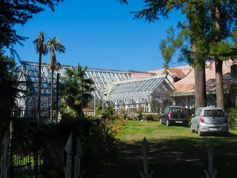 Shimla: Nữ ho&agrave;ng của những ngọn đồi xanh ng&uacute;t ng&agrave;n ở Ấn Độ 9