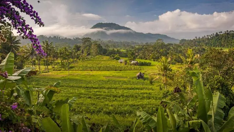 Sidemen Bali vi&ecirc;n ngọc ẩn m&igrave;nh giữa ruộng bậc thang Indonesia 2