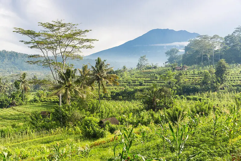 Sidemen Bali vi&ecirc;n ngọc ẩn m&igrave;nh giữa ruộng bậc thang Indonesia 4