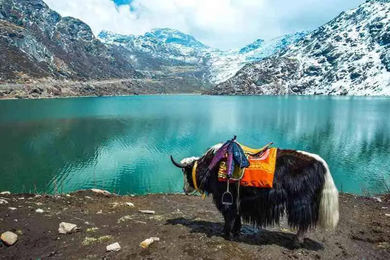 Sikkim, vi&ecirc;n ngọc ẩn b&ecirc;n những tu viện linh thi&ecirc;ng của Ấn Độ 2