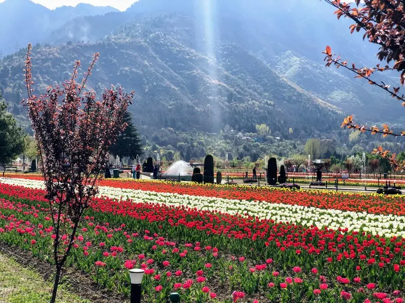 Srinagar: Thủ phủ m&ugrave;a h&egrave; giữa v&ugrave;ng Kashmir 9