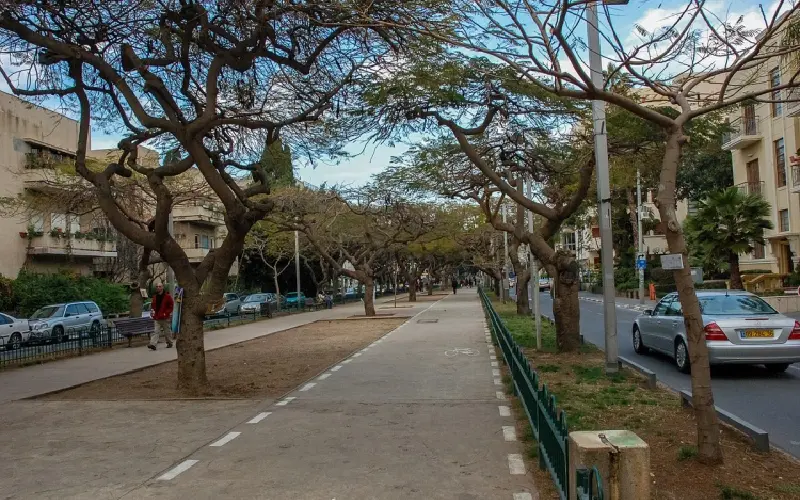 Tel Aviv: Thành phố không ngủ giữa lòng Israel hiện đại 8