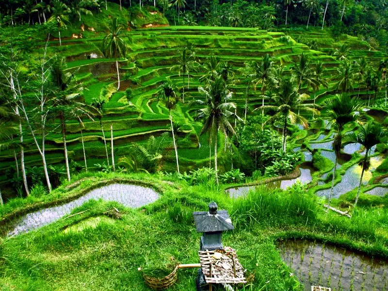 Top 15 điểm đến du lịch Ch&acirc;u &Aacute; tuyệt vời nhất cho bạn 5