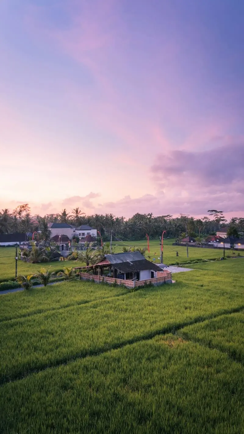 Trải nghiệm du lịch Ubud, nơi rực rỡ sắc m&agrave;u văn h&oacute;a bản địa Bali 3
