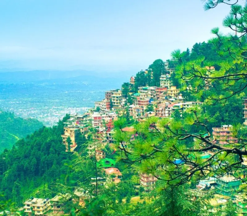 Dharamshala, vùng đất thiêng trên dãy Dauladhar