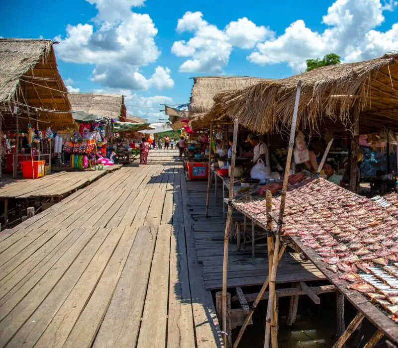 Du lịch Kratie ngắm cá heo nước ngọt Irrawaddy quý hiếm
