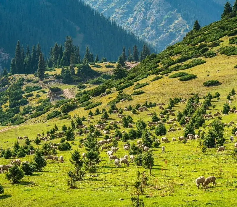Du lịch Kyrgyzstan, khám phá miền đất đẹp như tranh vẽ