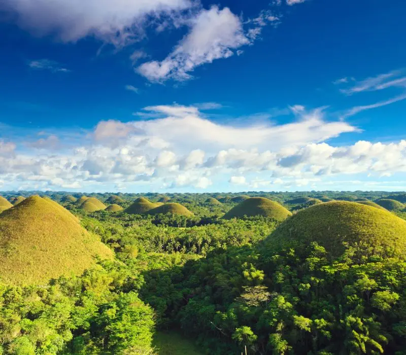 Hành trình du lịch đảo Bohol từ A đến Z cho người đi lần đầu