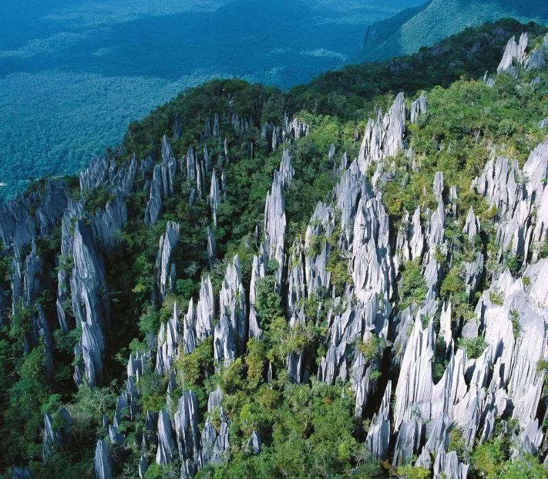 Khám phá viên ngọc quý Gunung Mulu được UNESCO vinh danh