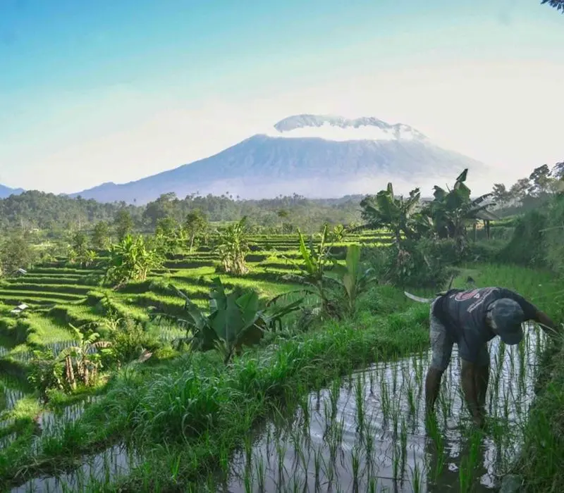 Sidemen Bali viên ngọc ẩn mình giữa ruộng bậc thang Indonesia