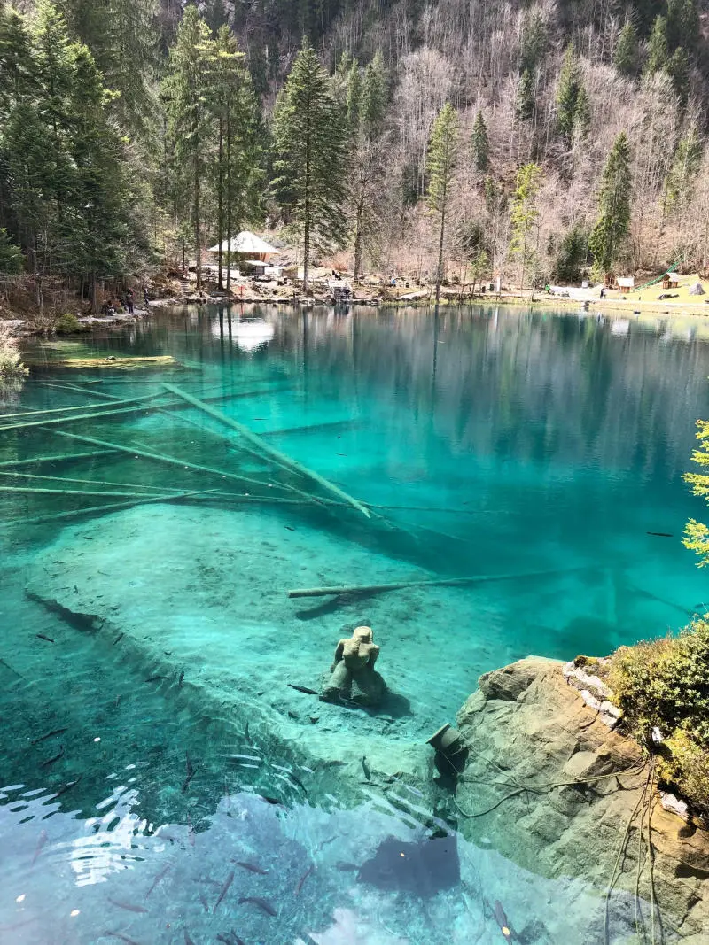 Chi&ecirc;m ngưỡng vẻ đẹp tuyệt sắc của hồ Blausee Thụy Sĩ 6