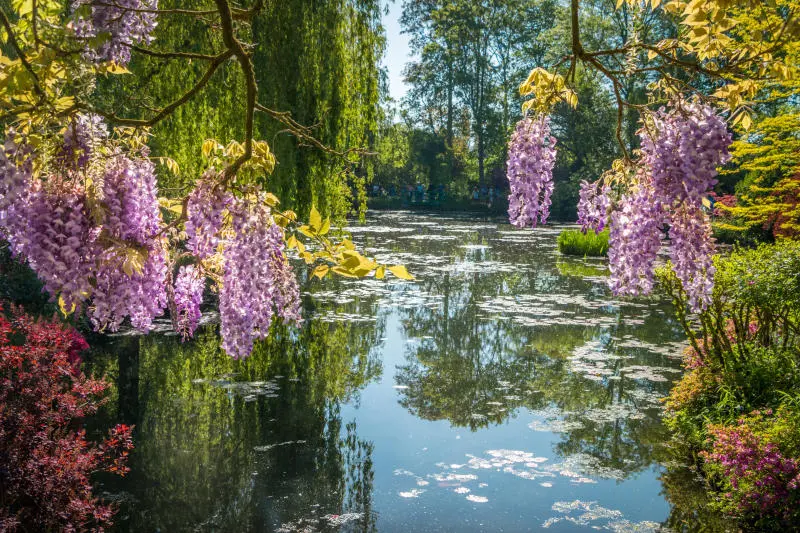 Gh&eacute; Giverny v&agrave; đắm ch&igrave;m trong khu vườn thơ mộng của Monet 3