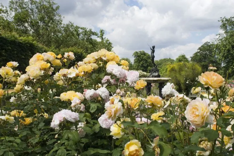 Hyde Park, l&aacute; phổi xanh của thủ đ&ocirc; London 7