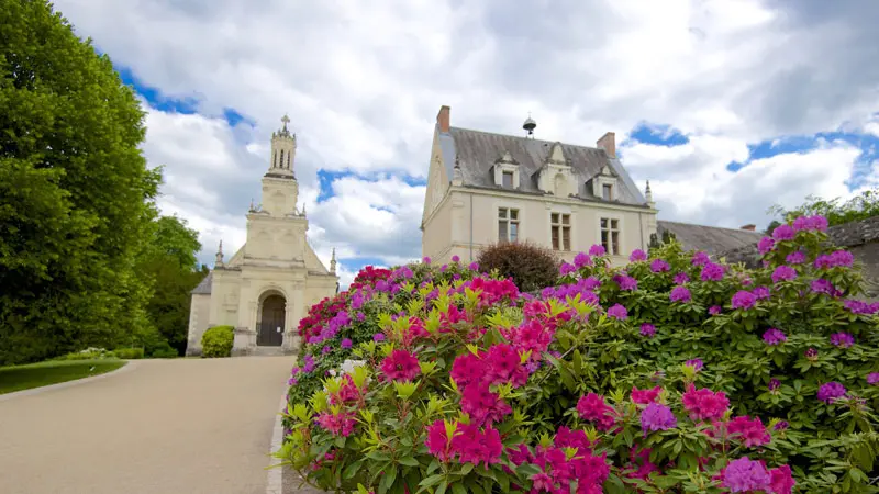 Kh&aacute;m ph&aacute; Ch&acirc;teau de Chambord, cung điện lộng lẫy bậc nhất nước Ph&aacute;p 12