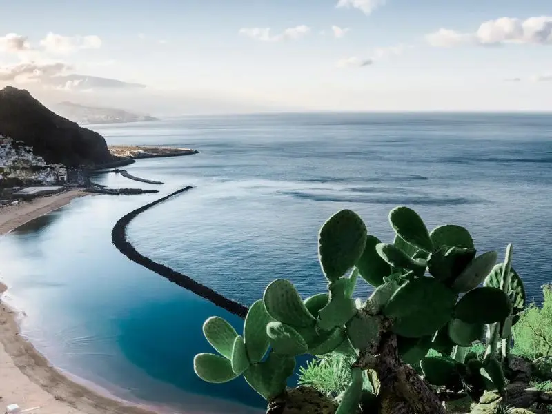 Kh&aacute;m ph&aacute; Tenerife: Thi&ecirc;n đường du lịch biển đẹp nhất T&acirc;y Ban Nha 9