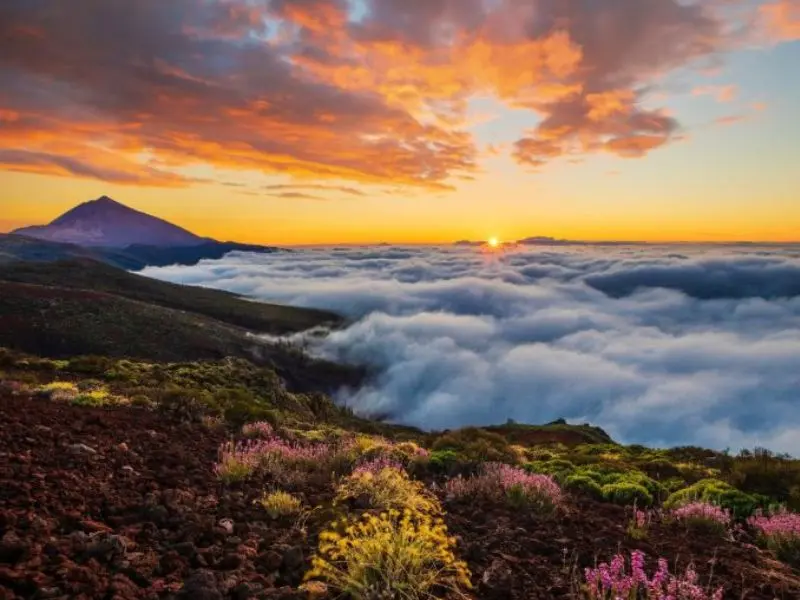 Kh&aacute;m ph&aacute; Tenerife: Thi&ecirc;n đường du lịch biển đẹp nhất T&acirc;y Ban Nha 3