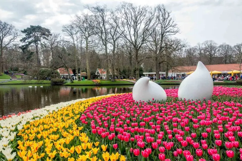 Lạc v&agrave;o vườn Keukenhof với c&aacute;nh đồng 7 triệu hoa tulip nở rộ 6
