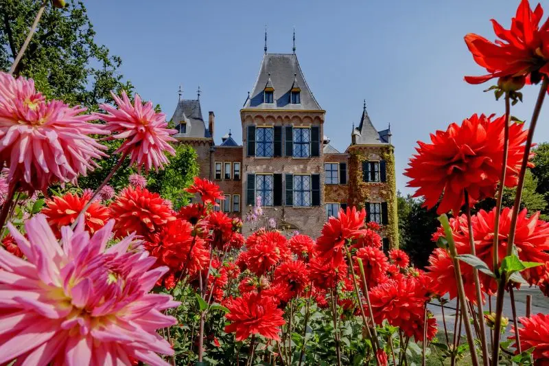 Lạc v&agrave;o vườn Keukenhof với c&aacute;nh đồng 7 triệu hoa tulip nở rộ 8