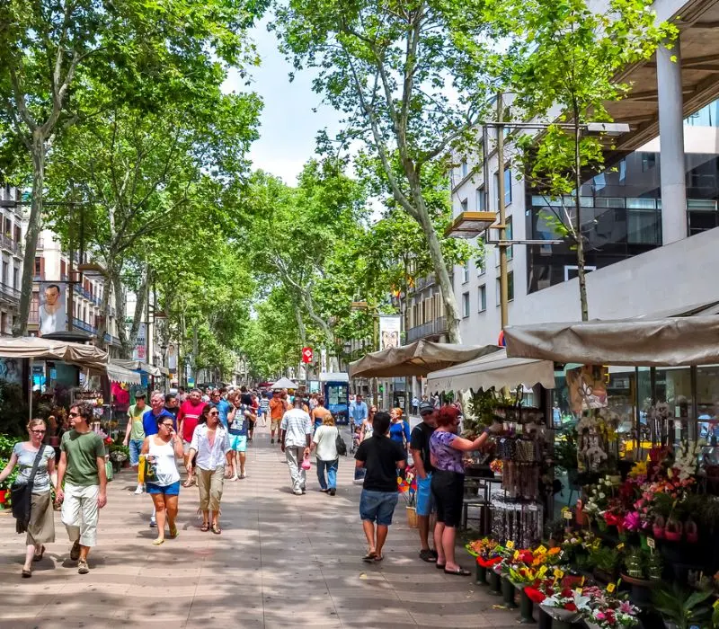 Phố đi bộ La Rambla: Tr&aacute;i tim s&ocirc;i động của Barcelona 2