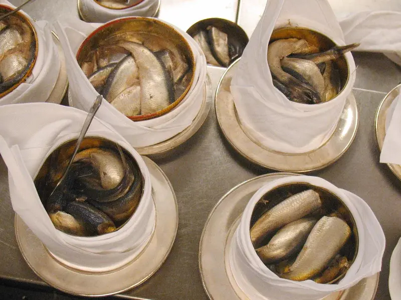 C&aacute; tr&iacute;ch thối Surstr&ouml;mming đặc sản đ&aacute;ng sợ của Thụy Điển 3