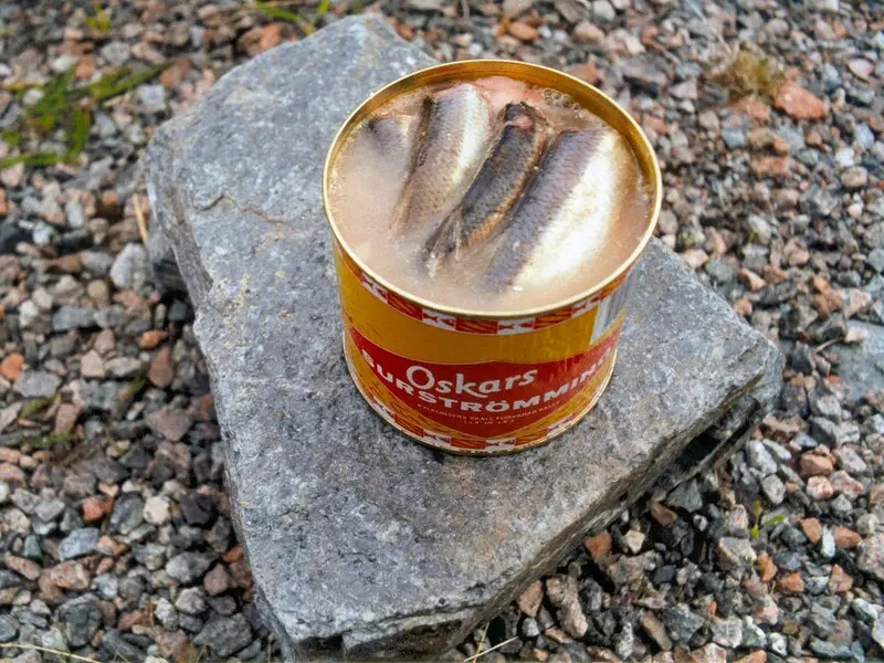 C&aacute; tr&iacute;ch thối Surstr&ouml;mming đặc sản đ&aacute;ng sợ của Thụy Điển 2