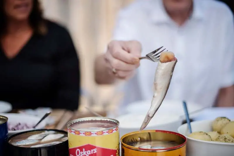 C&aacute; tr&iacute;ch thối Surstr&ouml;mming đặc sản đ&aacute;ng sợ của Thụy Điển 7