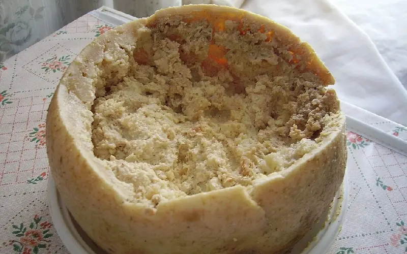 Casu Marzu: Ph&ocirc; mai gi&ograve;i 'nguy hiểm' nhất thế giới từ Sardinia, &Yacute; 2