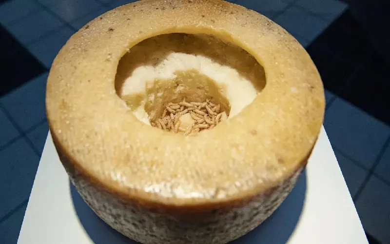 Casu Marzu: Ph&ocirc; mai gi&ograve;i 'nguy hiểm' nhất thế giới từ Sardinia, &Yacute; 5