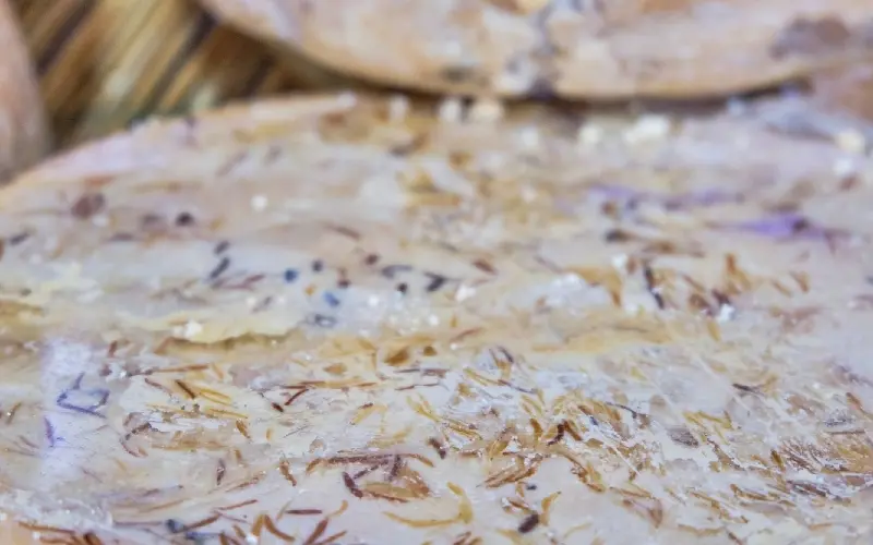 Casu Marzu: Ph&ocirc; mai gi&ograve;i 'nguy hiểm' nhất thế giới từ Sardinia, &Yacute; 6