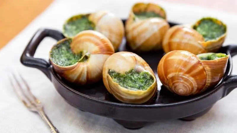 Escargot, m&oacute;n ốc s&ecirc;n tinh hoa của ẩm thực Ph&aacute;p cổ điển 2