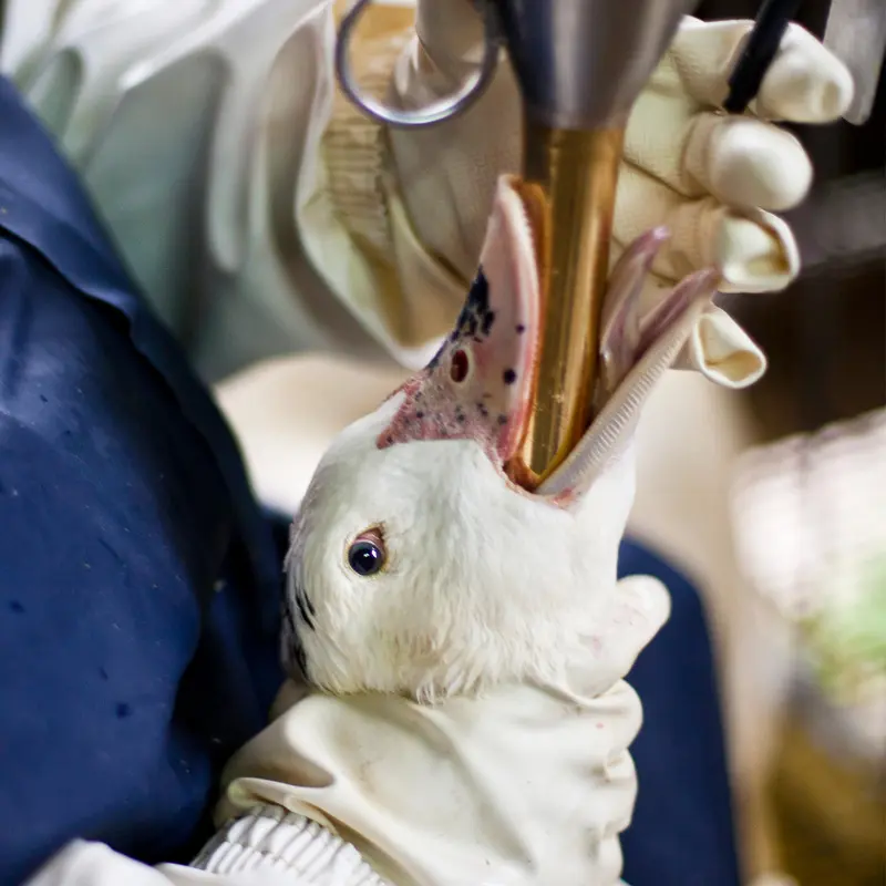 Foie Gras tinh hoa ẩm thực Ph&aacute;p của giới thượng lưu 4