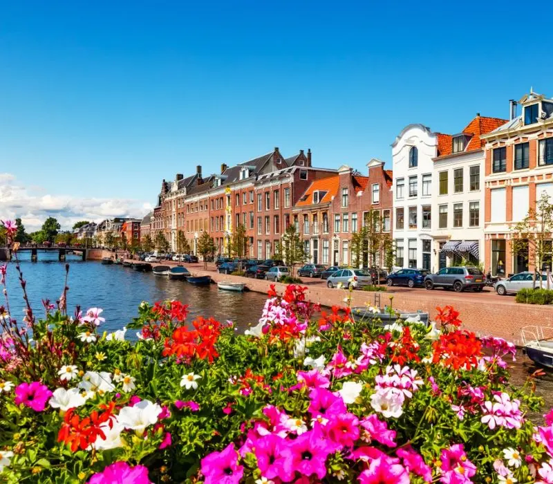 Có một thành phố Haarlem xinh đẹp giữa lòng Hà Lan