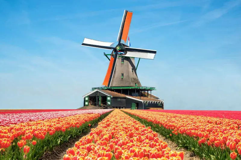 C&oacute; một th&agrave;nh phố Haarlem xinh đẹp giữa l&ograve;ng H&agrave; Lan 6