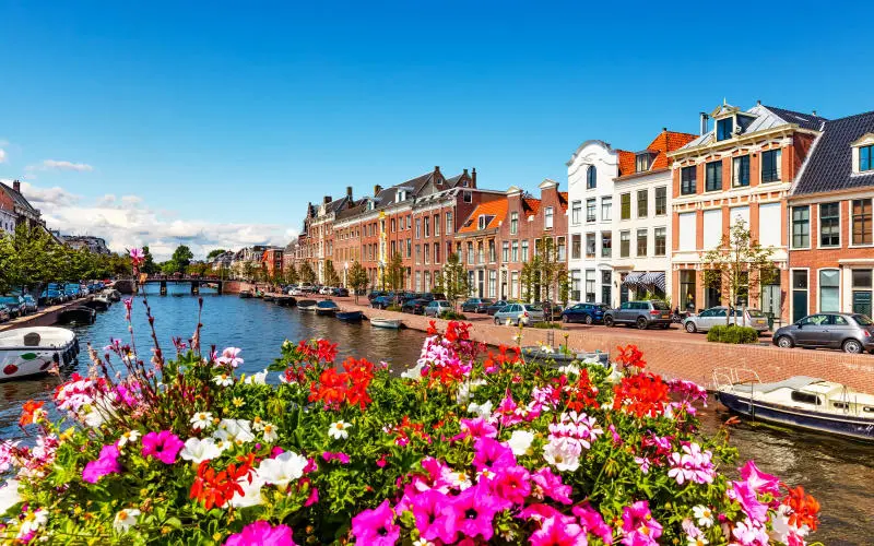 C&oacute; một th&agrave;nh phố Haarlem xinh đẹp giữa l&ograve;ng H&agrave; Lan 2