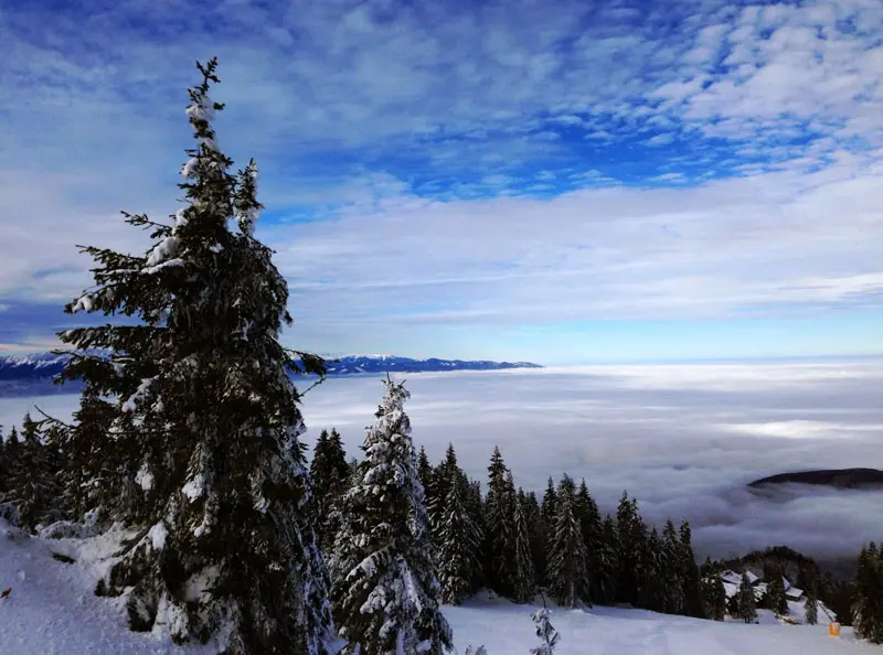 Du lịch Brasov, kh&aacute;m ph&aacute; vẻ đẹp cổ k&iacute;nh của v&ugrave;ng Transylvania 4