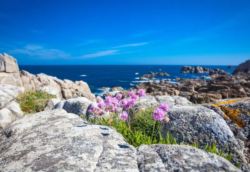 Du lịch Brittany: N&eacute;t đẹp cổ k&iacute;nh b&ecirc;n bờ Đại T&acirc;y Dương 2