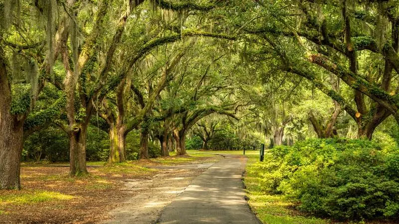 Du lịch Charleston, kh&aacute;m ph&aacute; th&agrave;nh phố th&acirc;n thiện nhất thế giới 4