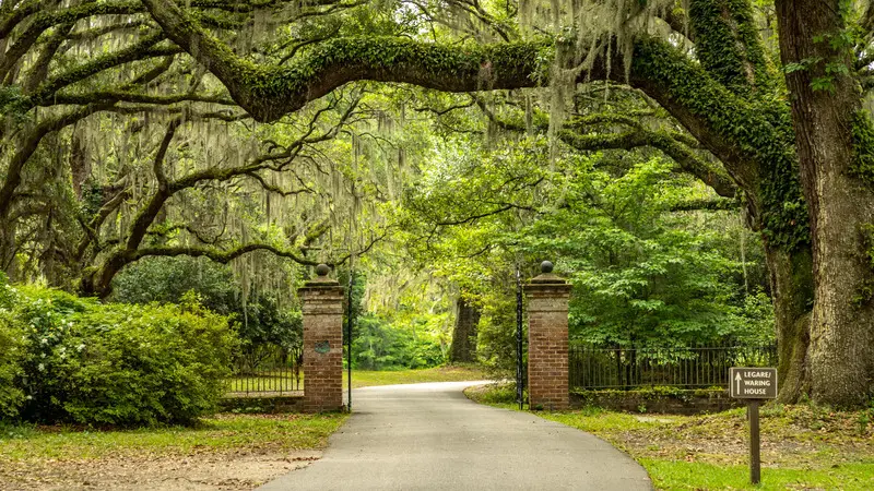 Du lịch Charleston, kh&aacute;m ph&aacute; th&agrave;nh phố th&acirc;n thiện nhất thế giới 10
